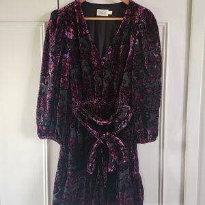Eliza J Purple and Black Velvet Floral Mini Dress